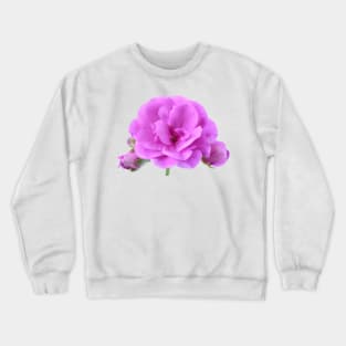 Ivy leaf pelargonium Geranium Crewneck Sweatshirt